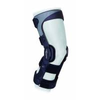 SE — 4-point ligament stabilisation
