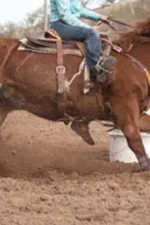 EQUITATION